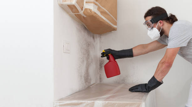 Professional Bathroom Mold Removal technician working in Riverdale, GA