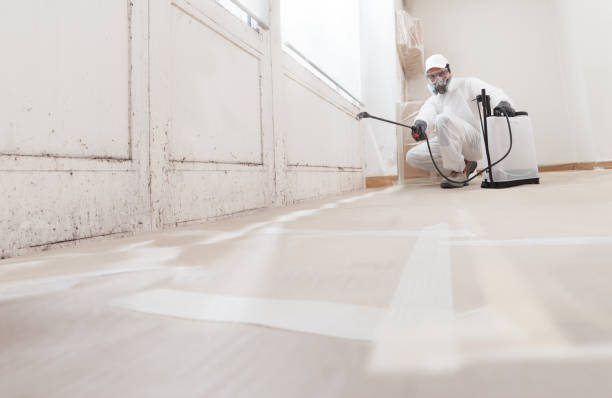 24/7 Emergency Bathroom Mold Removal experts in Riverdale, GA